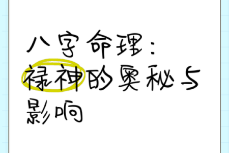 禄神在八字中代表什么意思(亡神在八字中代表什么意思)