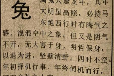 2025属兔人的全年运势如何(2025属兔人的全年运势如何,2025属兔人全年运势1987)