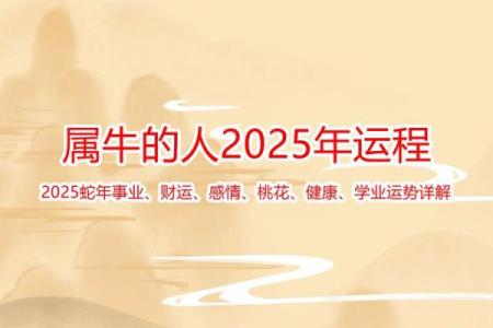 属牛的2025年运势(属牛的2025年运势和财运)