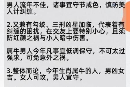 属牛2026年的运势及运程(属牛2027年的运势及运程)