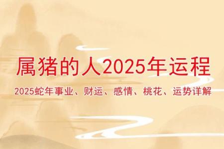 71属猪2025年必有横财(属猪的2025年运势和财运怎么样)