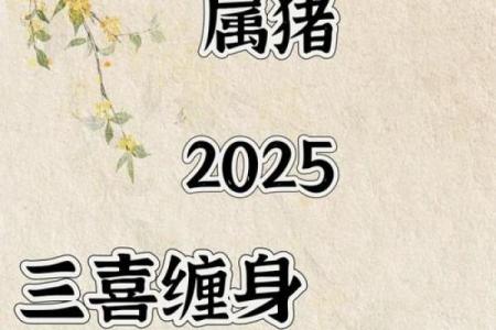 属猪的人2025年运势及运程详解(属猪的人2025年运势及运程详解1983)