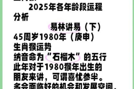 属猴2025运势及运程(属猴2025运势及运程详解图,2025属猴运势及运程)