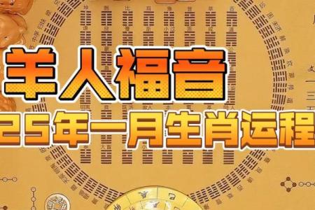 55年属羊今年运势(55年属羊今年运势怎么样)