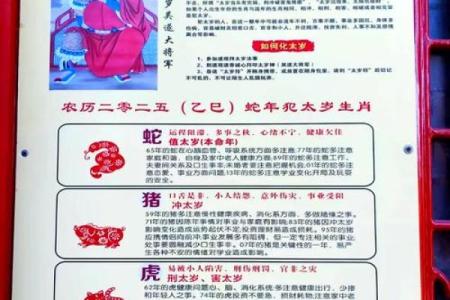 88年的龙2025年运势(88年的龙2025年运势运程)