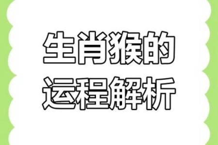 2025年属猴人的全年运势1980出生(2025年属猴人的全年运势1980出生男)