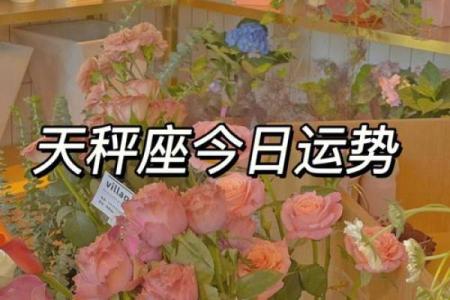 今天天秤座运势(今天天秤座运势怎么样)