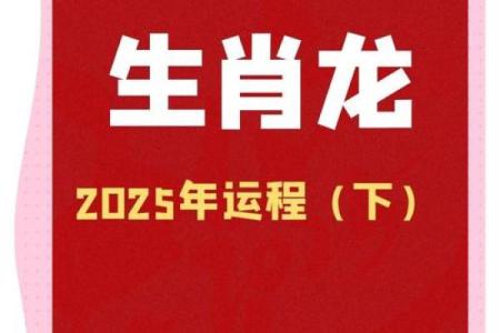 1988年龙2025年的全年运势(1988年龙2025年的全年运势怎么样)