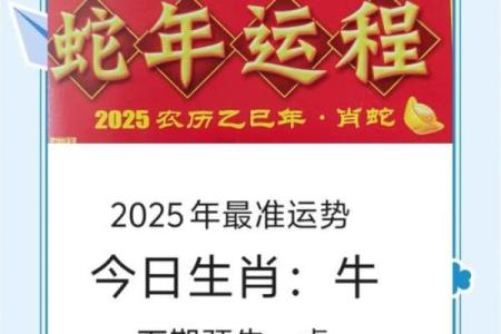 属牛人2025运势及运程详解(2025年牛人运势运程1973年的牛)
