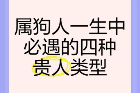2025属狗的贵人是谁(狗的仇人是什么生肖)