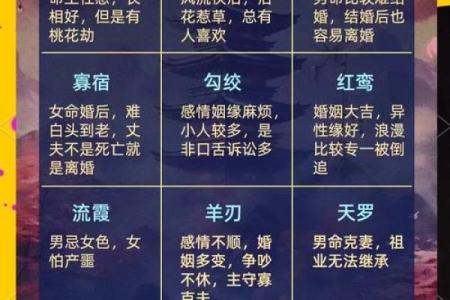 地网在八字中代表什么意思(地网在八字中代表什么意思呢女命)