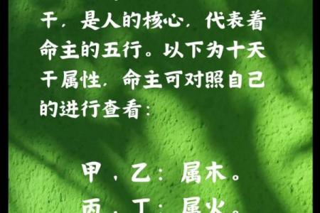 日主在八字中代表什么意思(日柱坐日主是什么意思)