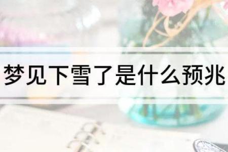 梦到下雪周公解梦