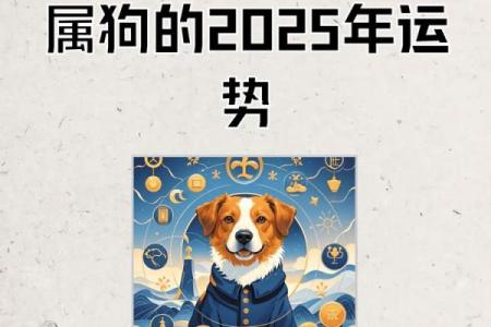 属狗的2025年运势(属马的2025年运势)