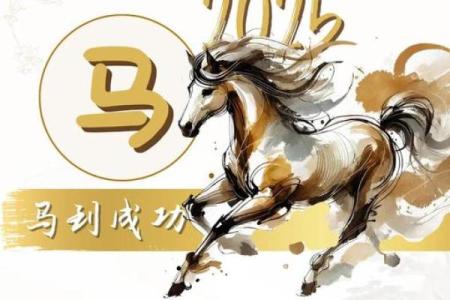 1954年属马人2025年运势(1978年属马2025年运势及运程详解)