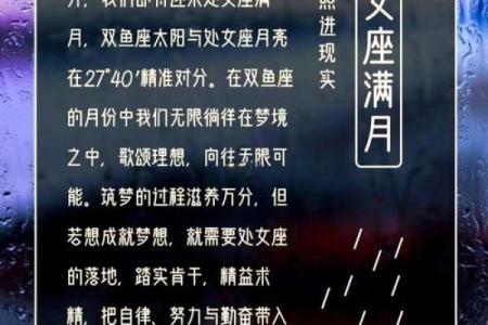 处女座今日运势 第一星座网(处女座今日运势第一星座网查询)