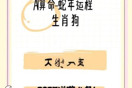 1982年属狗人2025年运势及运程(1982年属狗人2025年运势及运程详解)