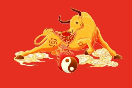 2025属鸡的运势和财运1981年(2025属鸡的运势和财运1981年家里摆放什么招财)