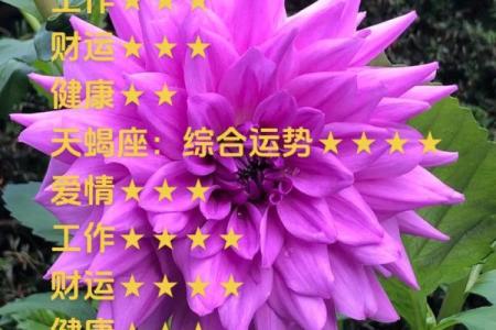 天秤座星座运势(天秤座星座运势最新)