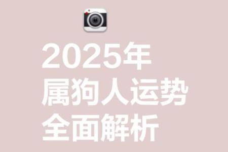 2025属狗人的全年运势(2025属狗人的全年运势1994出生)