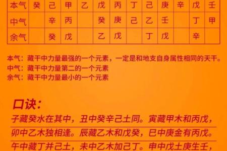 藏干在八字中代表什么意思(八字中的藏干是什么意思)