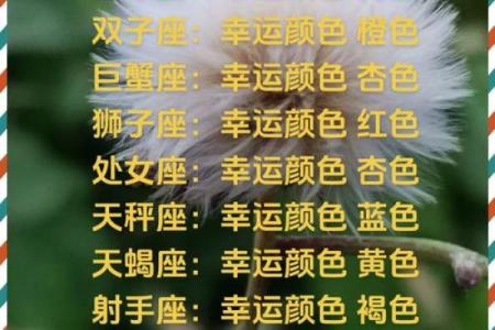 今天摩羯座今日运势(今天摩羯座今日运势女生)