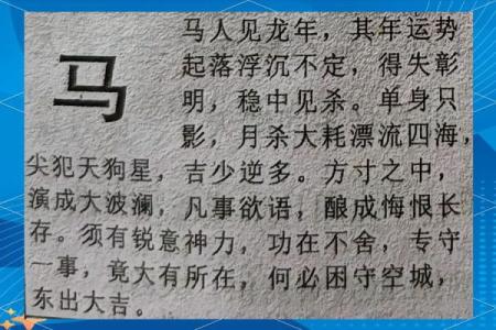 2002年属马人在2025年运势(2002年属马人在2025年运势和婚姻)