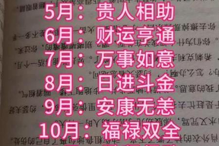 属狗人2025年每月运势及运程详解(属狗人2025年每月运势及运程)