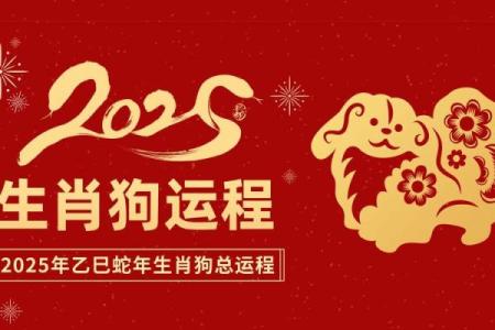 属狗2025年多大岁数(58年属狗的终身寿命)