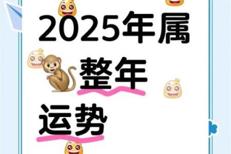80年属猴人在2025年的全年运势(80年属猴人在2025年的全年运势A 1)