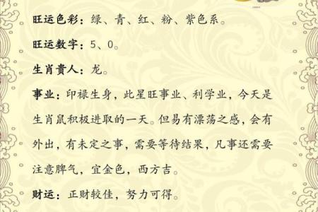 1984年属鼠在2025年运势(1984年属鼠在2025年运势如何)