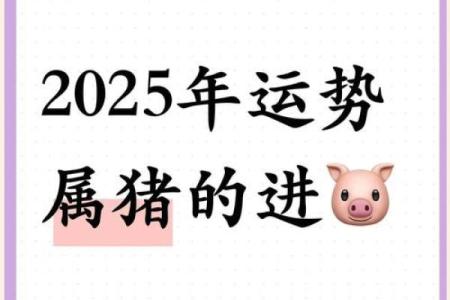 83年属猪人2025年全年运势(83年属猪人2025年全年运势女)