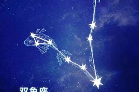双鱼座今日运势 第一星座网(双鱼座今日运势第一星座网页)