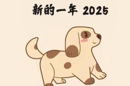 属狗2025年三大喜事(属狗2025年三大喜事2数狗202411月运势)