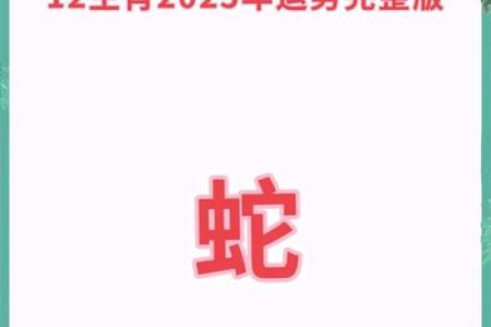属蛇2025年每月运势及运程详解(属蛇人2025年每月运势运程每月)