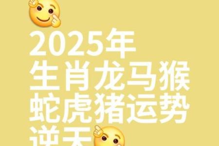 属龙人2025全年运势详解(属龙人2025全年运势详解李居明)