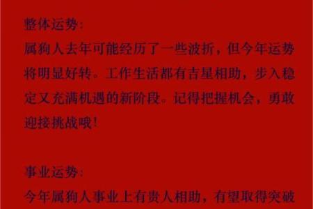 2025年属狗的年龄表(9几年属狗的今年多大)
