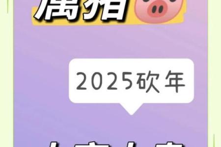 1971年2025年属猪人的全年运势(1971年猪女2025年运势及运程)