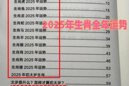 八二年属狗的在2025年运势怎样(82年属狗的人2025年的运势及运程)