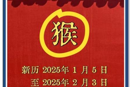 2025年属猴血光之灾(2025年属猴血光之灾在几月)