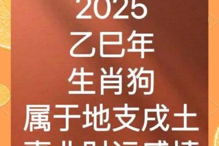 2025属狗大忌颜色(2025属狗大忌颜色)