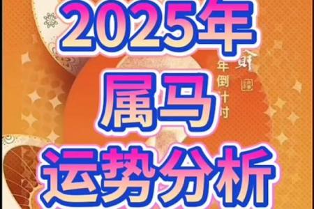 02年属马2025年多大(02年属马的2020年多大)