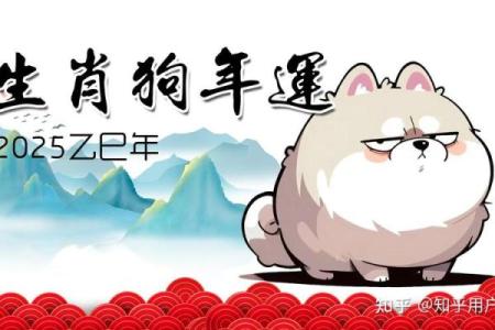82年属狗2025年多大(1951年属兔今年多大)