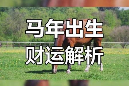 属马人2025年运势(1990年属马人2025年运势)
