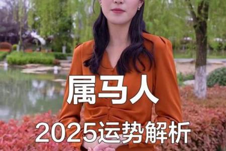 属马人2025年的全年运势(属马人2025年的全年运势详解)