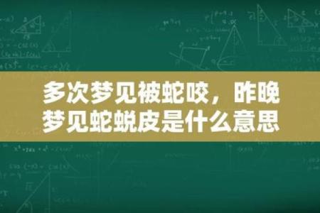 梦到被大蟒蛇追是什么意思
