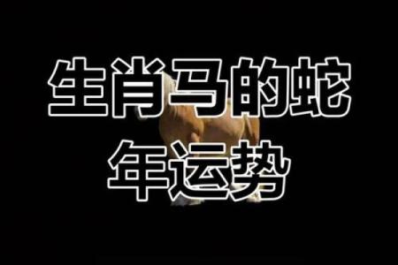 属马的人2025年运势及运程详解(属马的人2025年运势及运程详解吉祥方位)
