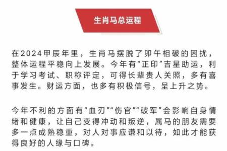 78年属马人2025年运势及运程(78年属马人2025年运势及运程每月运程如何)