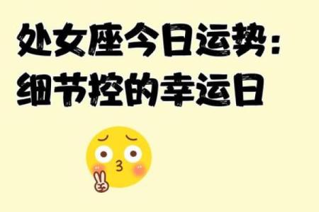 处女座今日运势如何(处女座今日运势如何男)