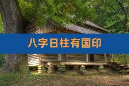 国印贵人在八字中代表什么意思(国印贵人在八字中代表什么意思和含义)